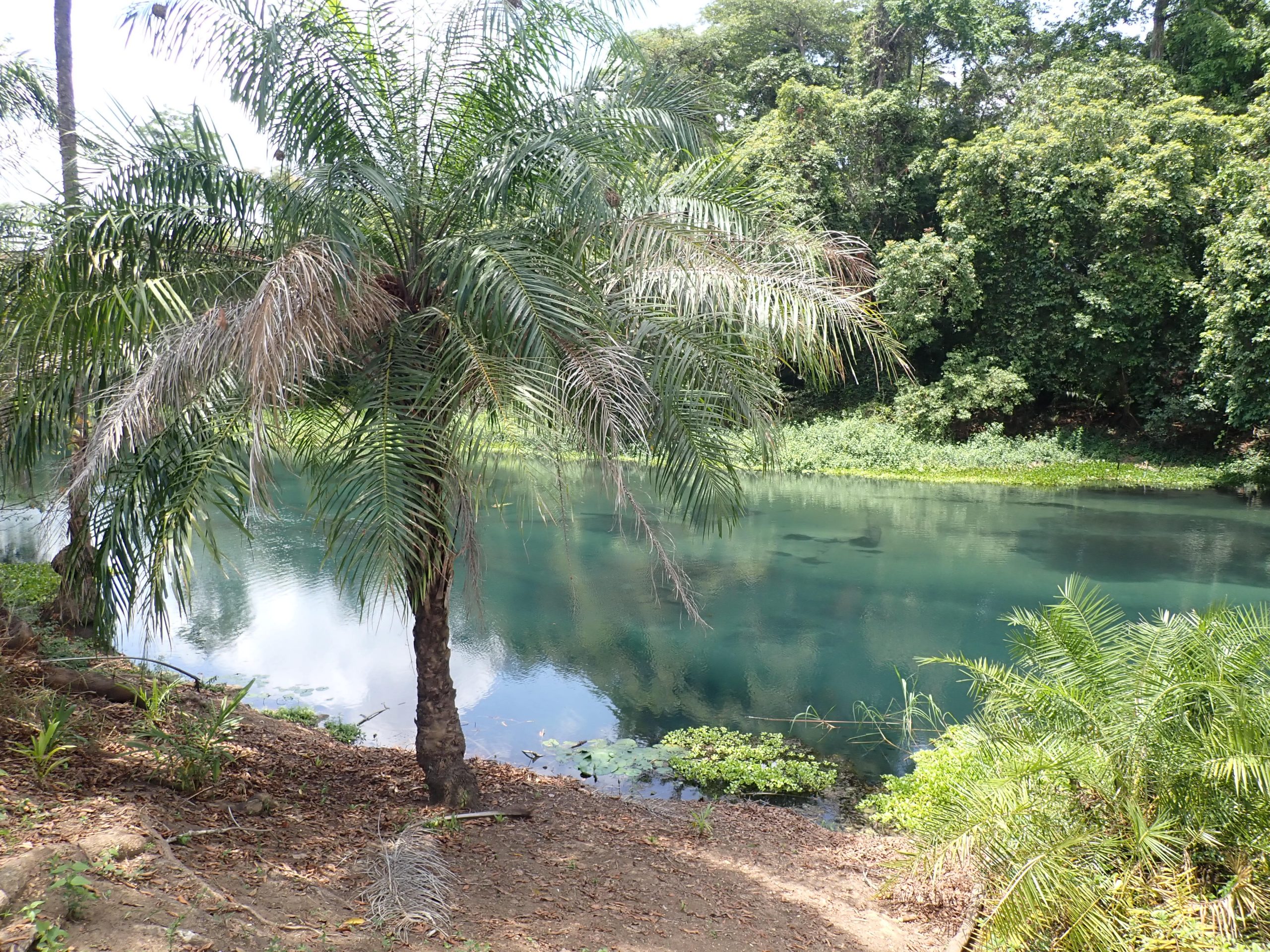 Journée à la rivière bleue Notre Aventure En Famille